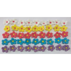 Цвіт яблуні