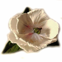 Кондитерська цукрова прикраса 