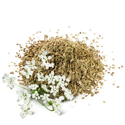 Аніс (Ваговий)