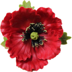 Мак з листочками