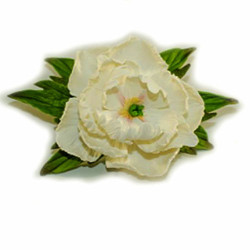 Піон D = 100 мм з листочками