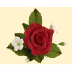 Букет троянд №4 темно-червоний (14уп/ящ) бл ШК