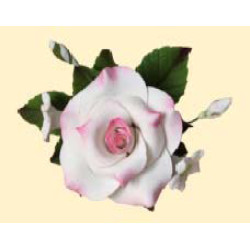 Букет троянд №4 тонований рожевий (14уп/ящ) бл ШК