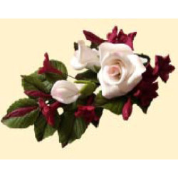 Букет троянд №7 білий (6уп/ящ) бл