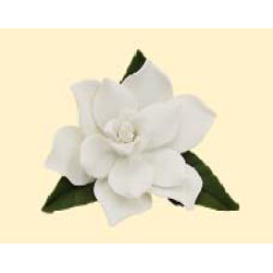 Гарденія з листочками / 14шт