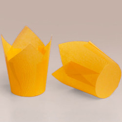 ТЛ-175 (50 * 75/100) 