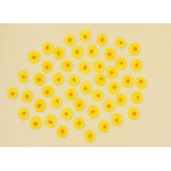 Набір кондитерських цукровх прикрас  