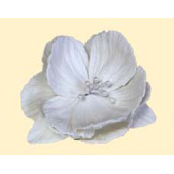 Піон D = 60 моно білий / 27шт