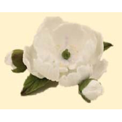 Кондитерська цукрова прикраса 