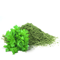 Сушена Петрушка (Вагова) мелена