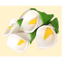 Кали білі (5шт) / 40шт