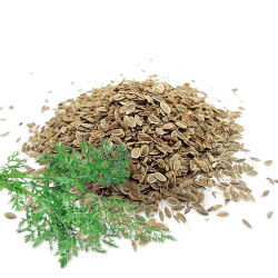 Кріп насіння (ваговий)