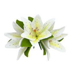 Кондитерська цукрова прикраса 