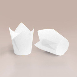 ТЛ-150 (50 * 60/80) 