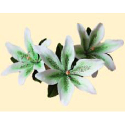 Лілія тонована салатова L=80 з листочками (3шт/6уп/ящ) бл