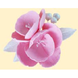 Кондитерська цукрова прикраса 