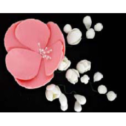 Магнолія рожева із фрезіями  (6уп/ящ) бл