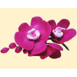 Гілочка орхідеї малінової / 8шт