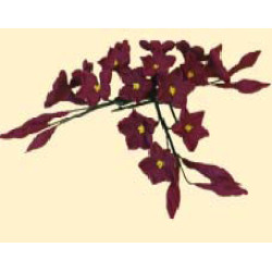 Гілочка стефанотиса бордового L = 120 (3шт) / 20шт