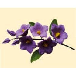 Набір кондитерських прикрас 