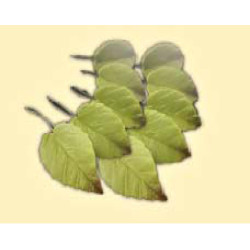 Листок троянди L=40мм тонований (10шт/50уп/ящ)