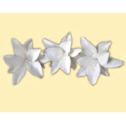 Лілія біла L = 60 зі срібним листям (3шт) / 8шт