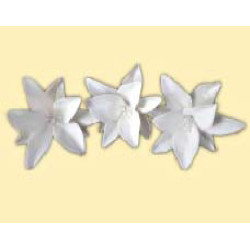 Лілія біла L=80 зі срібним листям (3шт/6уп/ящ) бл