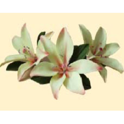 Лілія лимонна L = 60 з листочками (3шт) / 8шт