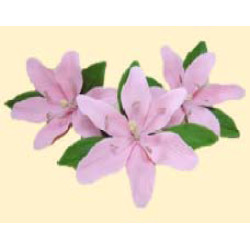 Лілія рожева L = 60 з листочками (3шт) / 8шт