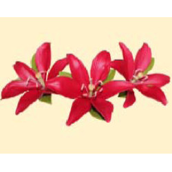 Лілія темно-червона L = 60 з листочками (3шт) / 8шт