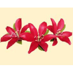 Кондитерська цукрова прикраса 