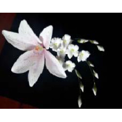 Лілія тонована бузкова L=80мм зі дзвониками (6уп/ящ) бл