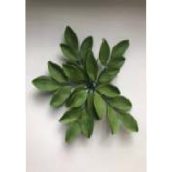 Гілочка листка дзвоника L=100мм (5шт/20уп/ящ)