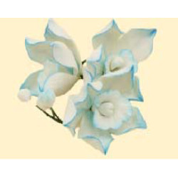 Кондитерська цукрова прикраса 