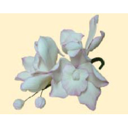 Кондитерська цукрова прикраса 