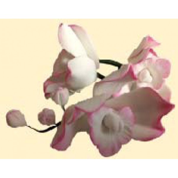 Гілочка орхідеї № 1 тонована рожева / 8шт