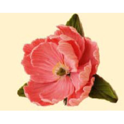 Піон рожевий D = 90 з листочками / 8шт