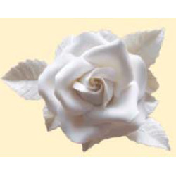 Троянда Елітна срібляста (біла) / 8шт