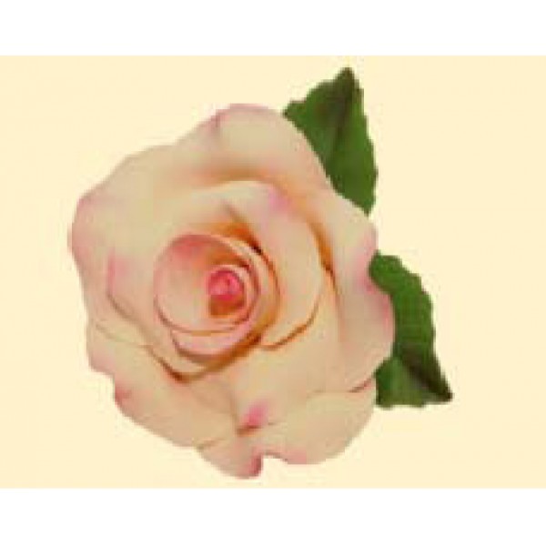 Троянда Преміум персикова тонована з листочками / 27шт