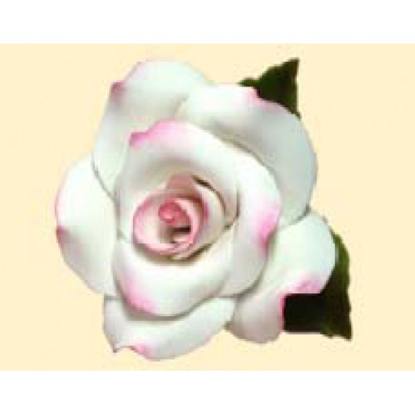 Троянда Преміум тонована рожева з листочками / 27шт