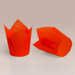 ТЛ-160 (50 * 65/90) 