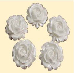 Троянда мала біла перламутрова (5 шт) / 50шт