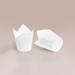 ТЛ-140 (50 * 50/75) 