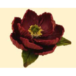 Кондитерська цукрова прикраса 