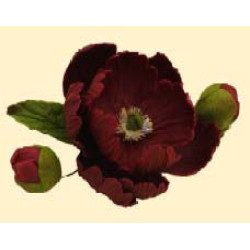 Піон бордовий D = 90 з бутонами / 8шт