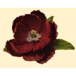 Піон бордовий D = 90 з листочками / 8шт