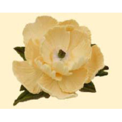 Піон ванільний D = 100 з листочками / 8шт