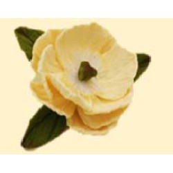 Піон ванільній D = 60 з листочками / 27шт