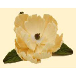 Піон ванільній D = 90 з листочками / 8шт