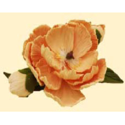 Кондитерська цукрова прикраса 